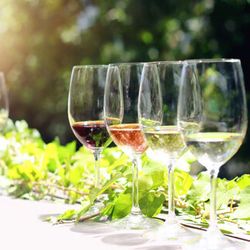 Valpolicella Food & Wine from Limone