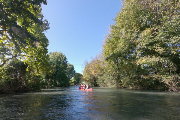 Gallery image 7