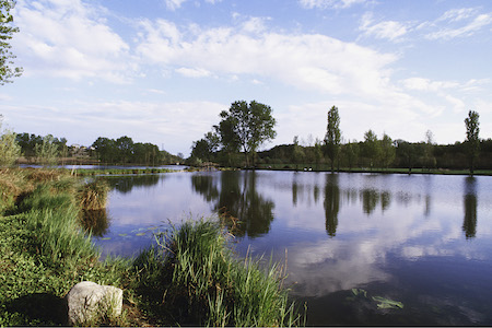 Gallery image 6